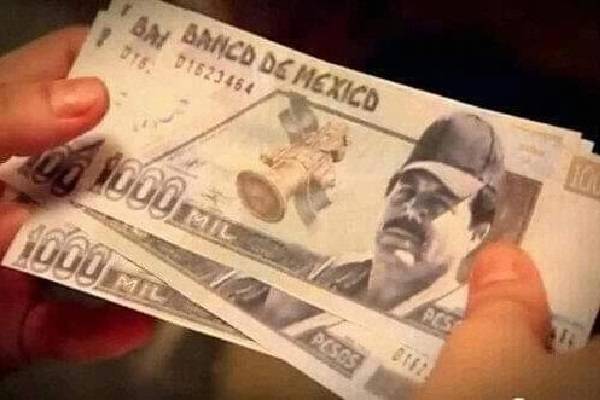Billetes de "el Mayo" Zambada