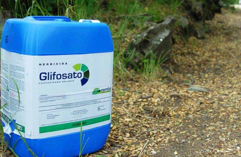 Empresas insisten en importar glifosato, a pesar de que causa cáncer