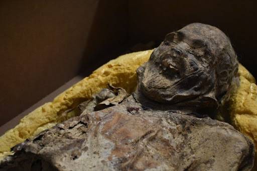 INAH advierte que más de cien momias de Guanajuato están en riesgo