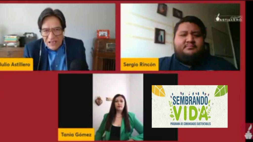 “Suposición” el reportaje de hijos de AMLO y Sembrando Vida, declaran sus autores