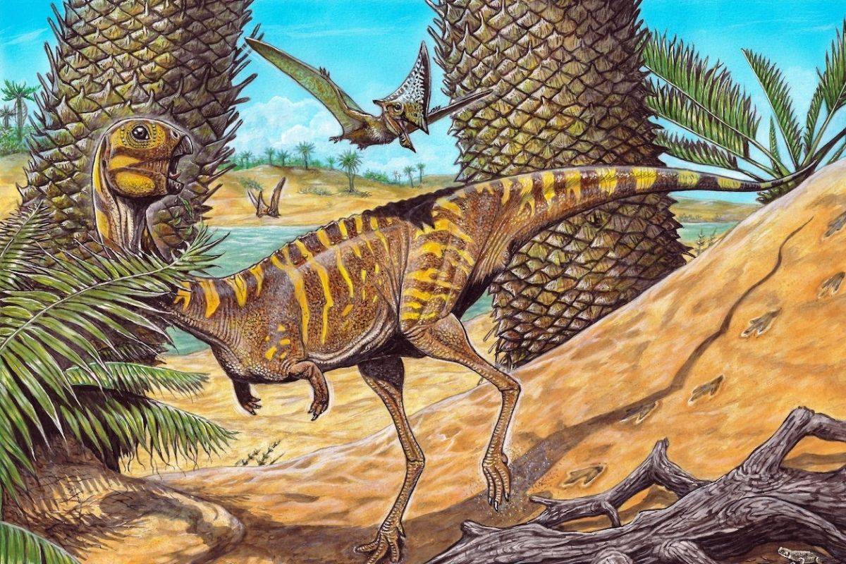 Descubren especie ‘rara’ de dinosaurio sin dientes