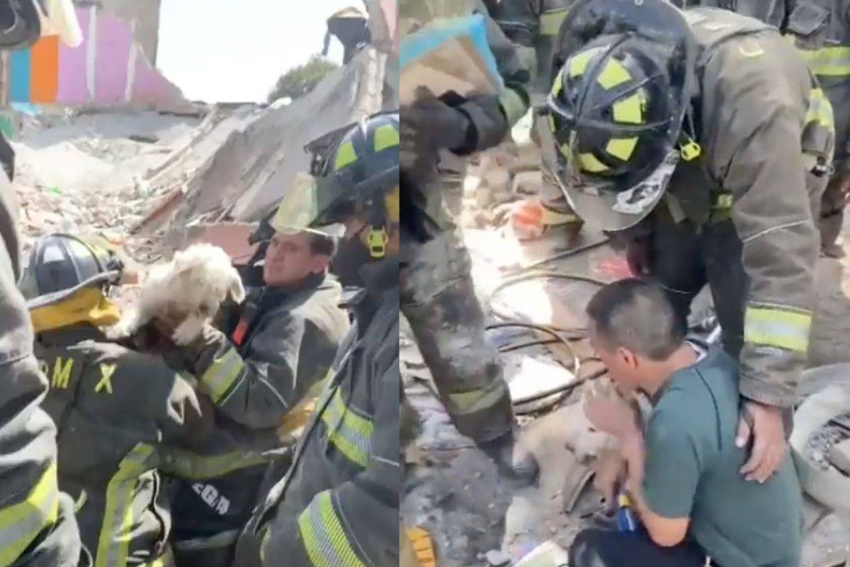 Video: Perro es rescatado por bomberos tras explosión en CDMX