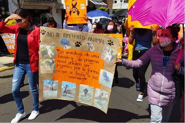Protestas por envenenamiento masivo de perros