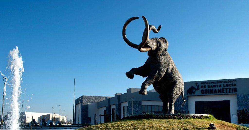 El Museo Paleontológico de Santa Lucía Quinametzin contará con seis salas con exposiciones permanentes y temporales; algunas se dedicarán al estudio y observación del clima, la flora y la fauna desde hace más de 30 millones de años, incluido el mamut gigante 