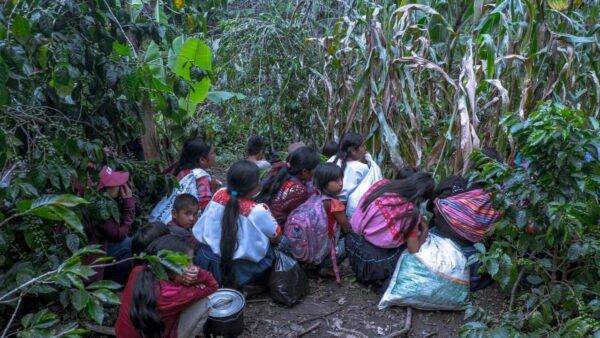 Pobladores de Aldama en Chiapas denuncian ataques constantes de paramilitares