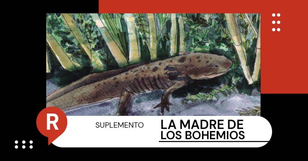Andrés Cota realiza una semblanza de la especie en El ajolote. Biografía del anfibio más sobresaliente del mundo, donde revela misterios del axolotl 