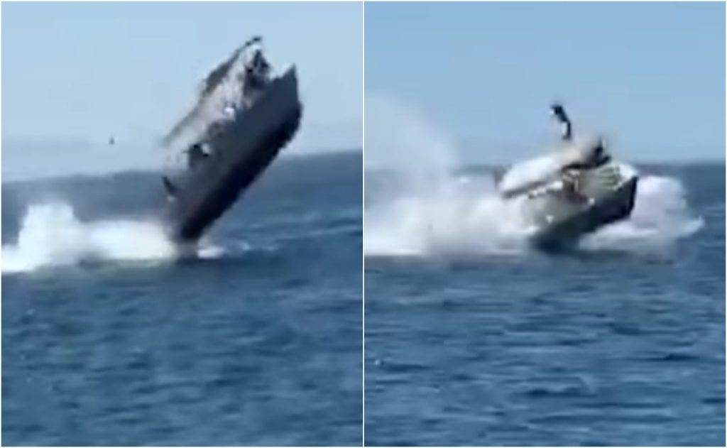 Bote turístico choca contra ballena