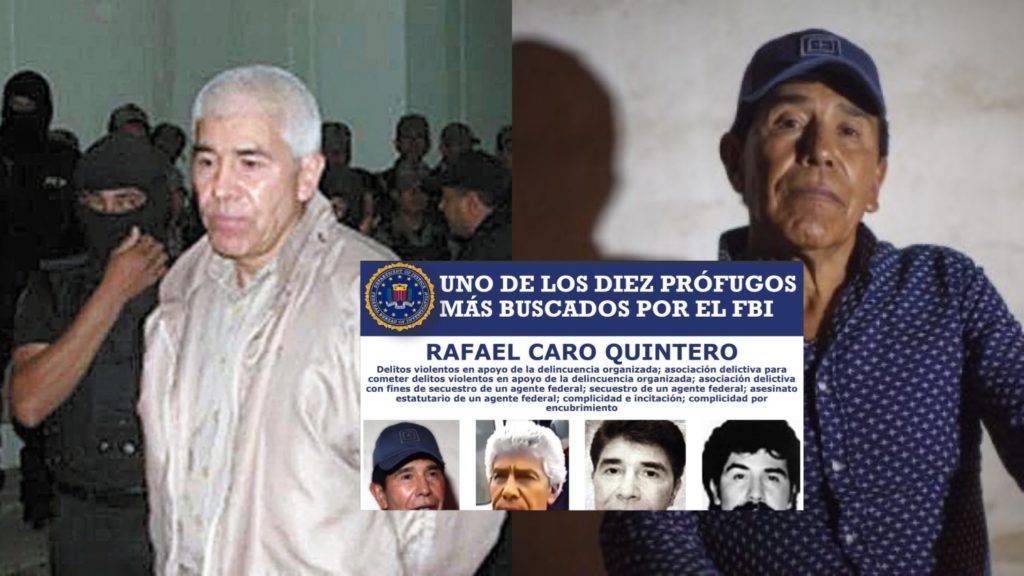 El llamado “Narco de Narcos”, Rafael Caro Quintero, fue detenido por elementos de la Marina tras varios años de ser catalogado por las autoridades de EEUU como uno de los más buscados.