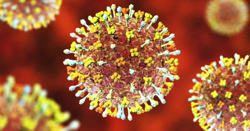 El hendra, variante del henipavirus, causa fiebre, cansancio, tos, náuseas, pérdida del apetito, así como dolores de cabeza y musculares.