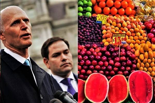 Legisladores de Florida acusan peligrosísima fruta mexicana 