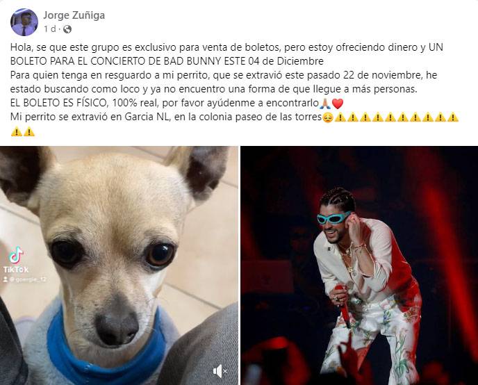 Boleto de Bad Bunny por mi perro: joven ofrece recompensa por su perro extraviado en NL