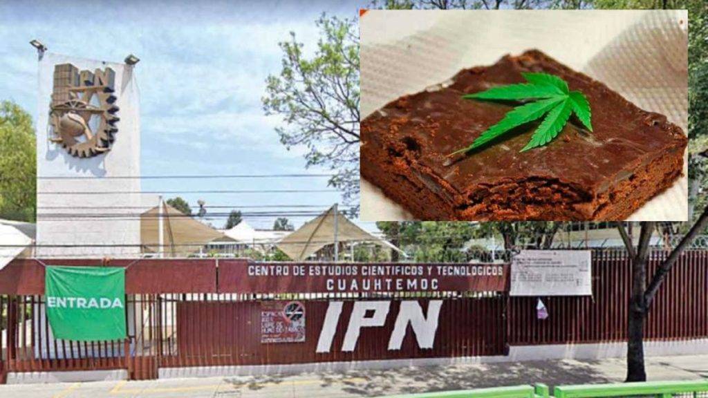 Alumnas del CECyT comen  brownies con marihuana en la escuela; terminan hospitalizadas