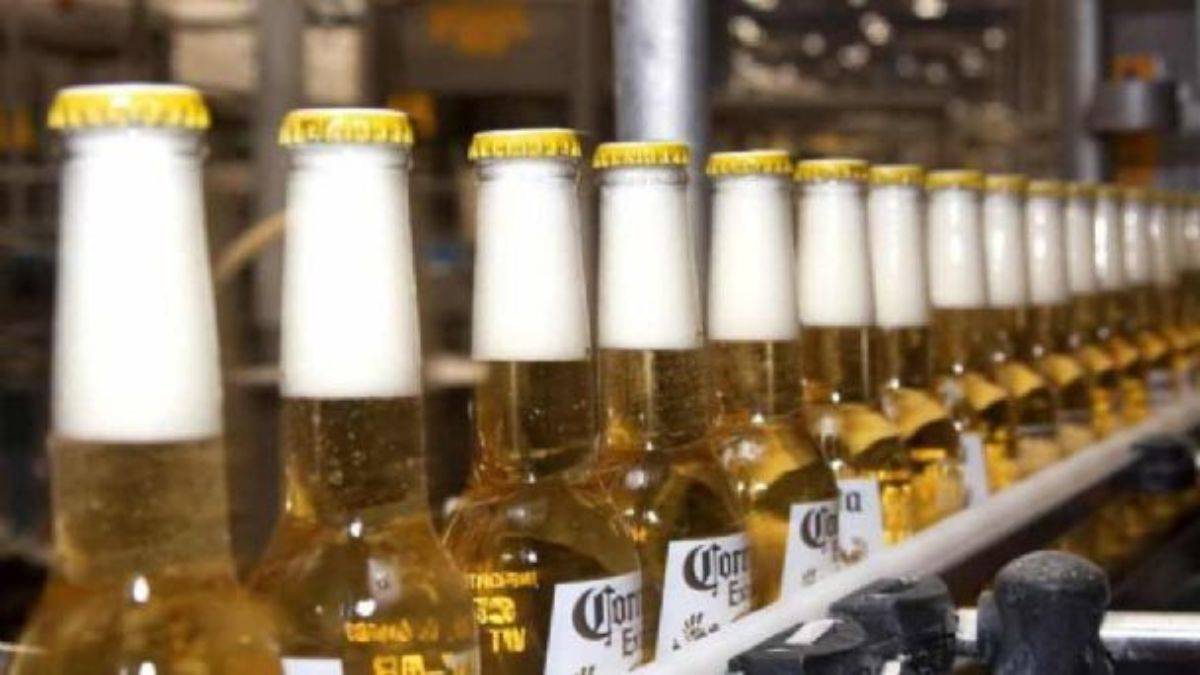 Grupo Modelo sube precios de sus cervezas en el día de la Virgen de  Guadalupe - RegeneraciónMX