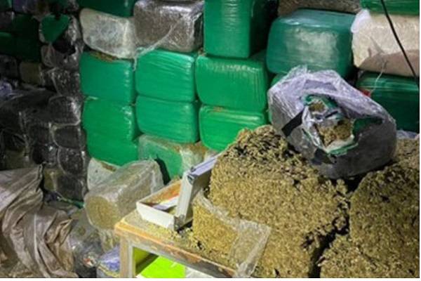 Sedena asegura mil 800 kilos de mariguana y un inmueble en Tijuana