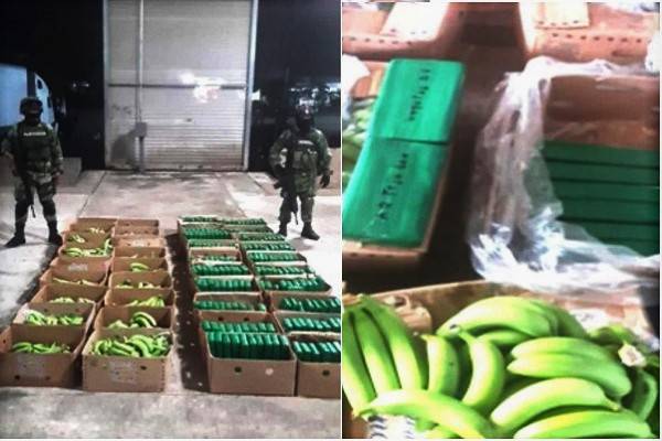 Entre los plátanos hallan 213 kilos de cocaína en Huixtla, Chiapas