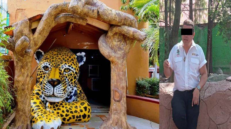 Investigan al exdirector del zoológico Zoochilpan, por vender cuatro vacas Watusi