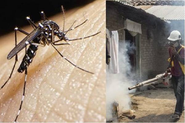 Crece el dengue y chikungunya en América, esto se sabe