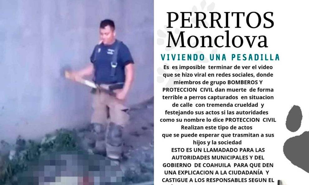 Bomberos de Monclova asesinan a perros callejeros en oficinas de Protección Civil 