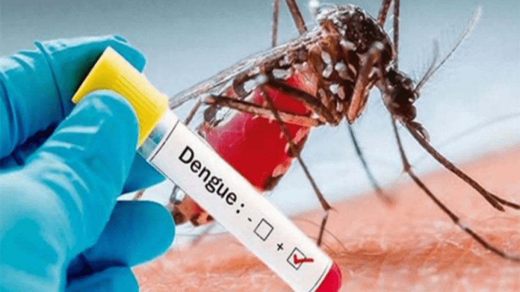 Informes de la Organización Panamericana de la Salud establecen que este 2023 el número de contagios por Dengue aumento considerablemente.