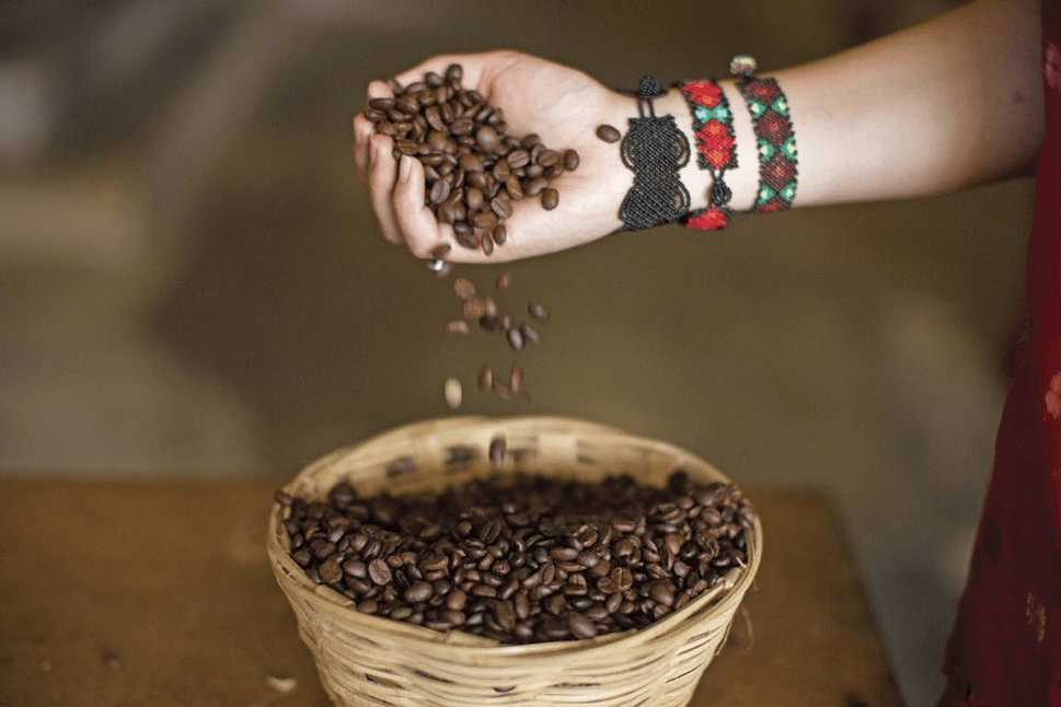 El café es uno de los productos de mayor consumo en México y nuevos datos revelaron que la versión soluble es la más consumida en el país.