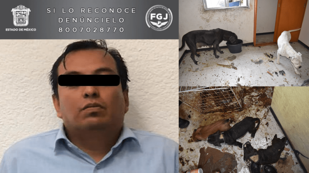 Envoltorios de narcóticos y ocho perros en condiciones de abandono fue parte de lo que la Fiscalía del Estado de México encontró en el domicilió de Jesús Abid “N”