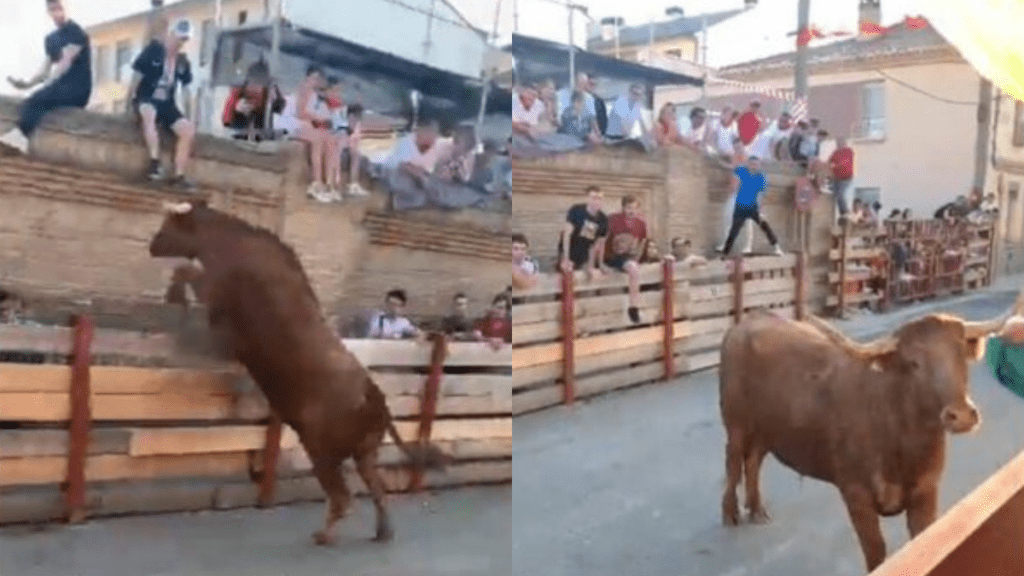 Una celebración taurina en España volvió a terminar en tragedia luego de que un toro hiriera a dos personas en un “encerrado”.