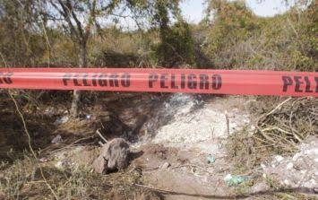Encuentran fosa clandestina con 15 cuerpos en Jalisco 