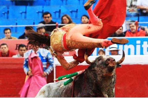Grandes festejos con toros hacia el 78 aniversario de la México. Suprema Corte levanta suspensión lograda por animalistas y defensores de derechos