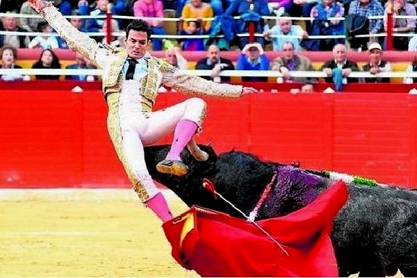 Fallo judicial dispuso este viernes que las corridas de toros se podrán llevar a cabo en la Plaza México el próximo domingo 4 y lunes 5 de febrero
