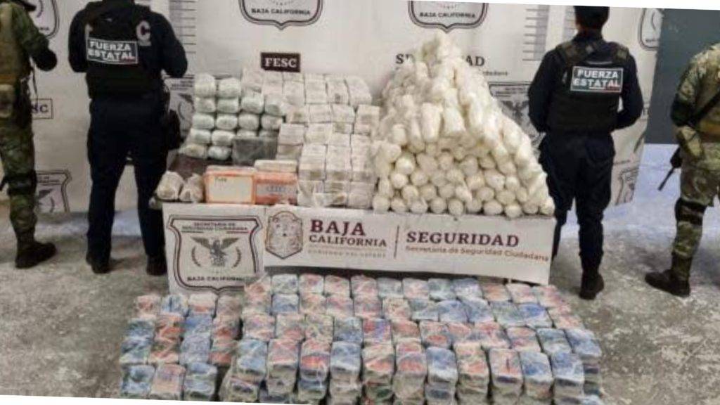 Autoridades de Baja California lograron el docomiso de casi medio millón de pesos en drogas que iban a ser enviadas a EE.UU.