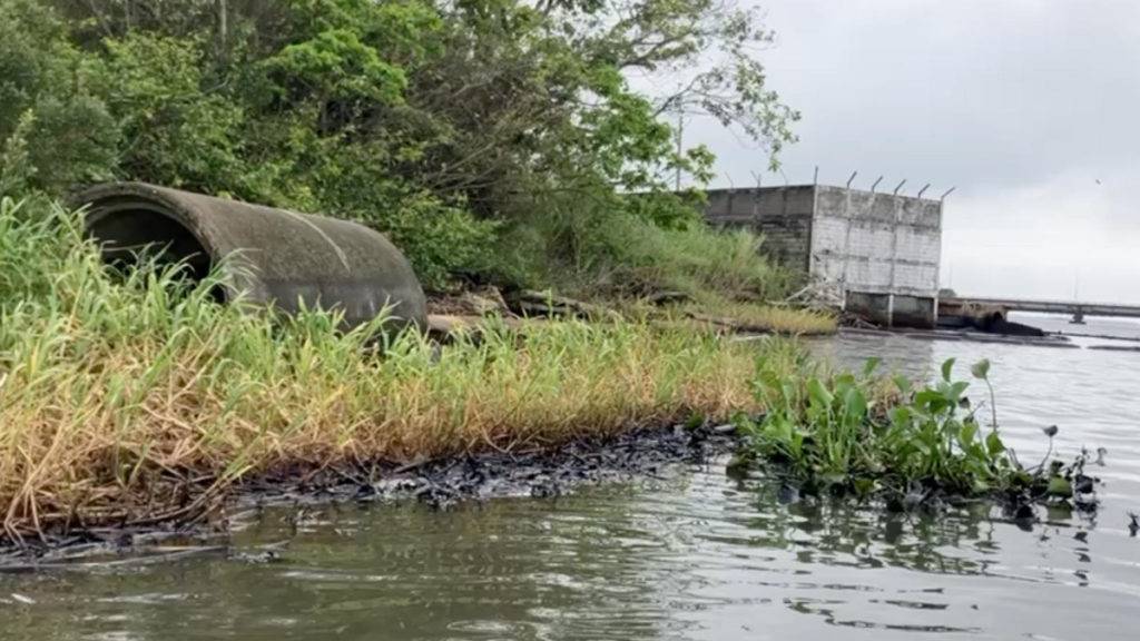 Pescadores de Coatzacoalcos denuncian la presencia de manchas de crudo y lirios contaminados, lo que afecta gravemente al medio ambiente.