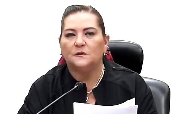 Respetar la Constitución es honrar la democracia y fortalecer México. Existen reglas claras el INE no quita ni regala diputaciones ni senadurías: Taddei