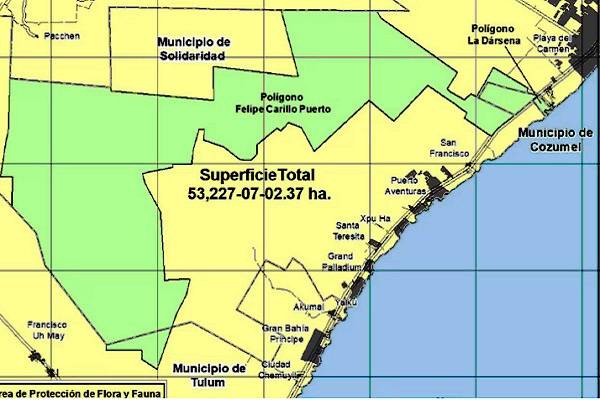 No vamos a permitir destruyan el territorio: AMLO. A conservación 50 mil hectáreas ante el mayor desastre ecológico en Riviera Maya y prepotencia de Calica