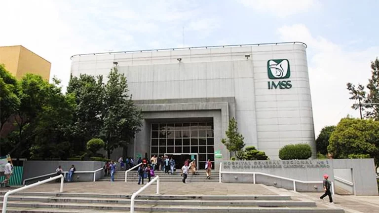 IMSS