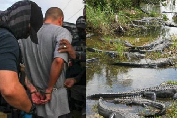 Fiscal de Florida, James Uthmeier quiere centro de detención temporal para inmigrantes en los Everglades, denominado "Alcatraz Caimán"