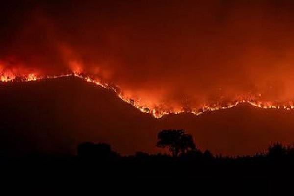 En dos semanas incendios han destruido 350 mil hectáreas. Ola de calor de 16 días con temperaturas superiores a 40 grados en España