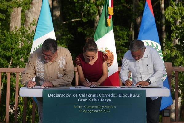 Sheinbaum: Acuerdo trilateral para Corredor Biocultural de la Gran Selva Maya. Preservar 5.7 millones de hectáreas del corazón de Mesoamérica