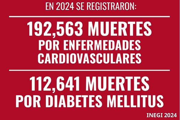 México: En 2024 ocurrieron 190 mil muertes por enfermedades cardiovasculares y alrededor de 110 mil muertes por diabetes mellitus