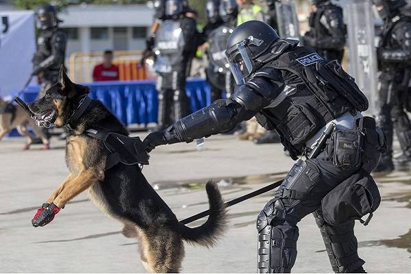 Vapear está prohibido en Singapur desde 2018. Poseer, usar o comprar vaporizadores conlleva multa máxima de 2 mil dólares singapurenses