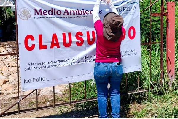 Megagranja de los Loret una amenaza permanente al suelo, agua, atmósfera y salud humana. 50 mil cerdos contaminantes.