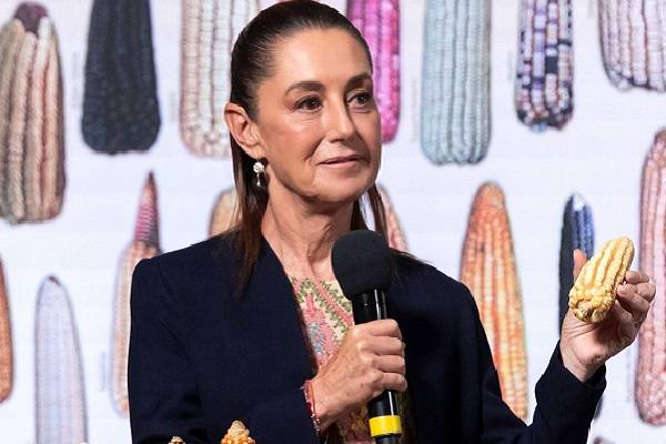 Sheinbaum anunció apoyos a siembra de maíces nativos de México con precios de garantía y para la venta de productos de maíz como la tortilla