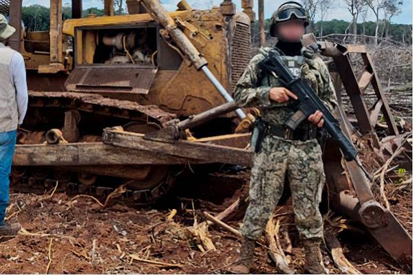 De mayo a agosto 2025, Profepa lanzó 25 operativos en Península de Yucatán. 6 mil 325 hectáreas de selva protegidas. 13 denuncias penales