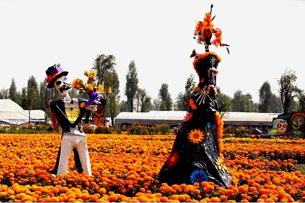 La Jefa Clara en Sendero de las Almas, en Xochimilco por producción récord de 6.3 millones de plantas de cempasúchil para nuestros ancestros