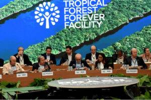 Compensar a países que conservan sus bosques tropicales, de forma proporcional a la superficie. Incentivo para mantenimiento de bosques
