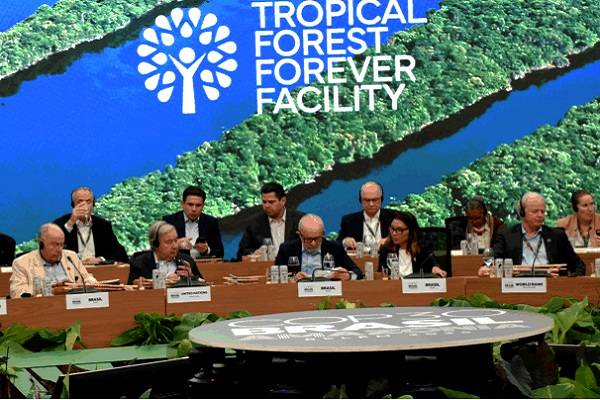 Compensar a países que conservan sus bosques tropicales, de forma proporcional a la superficie. Incentivo para mantenimiento de bosques