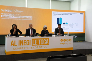 Encuesta Intercensal 2025 / Vía X