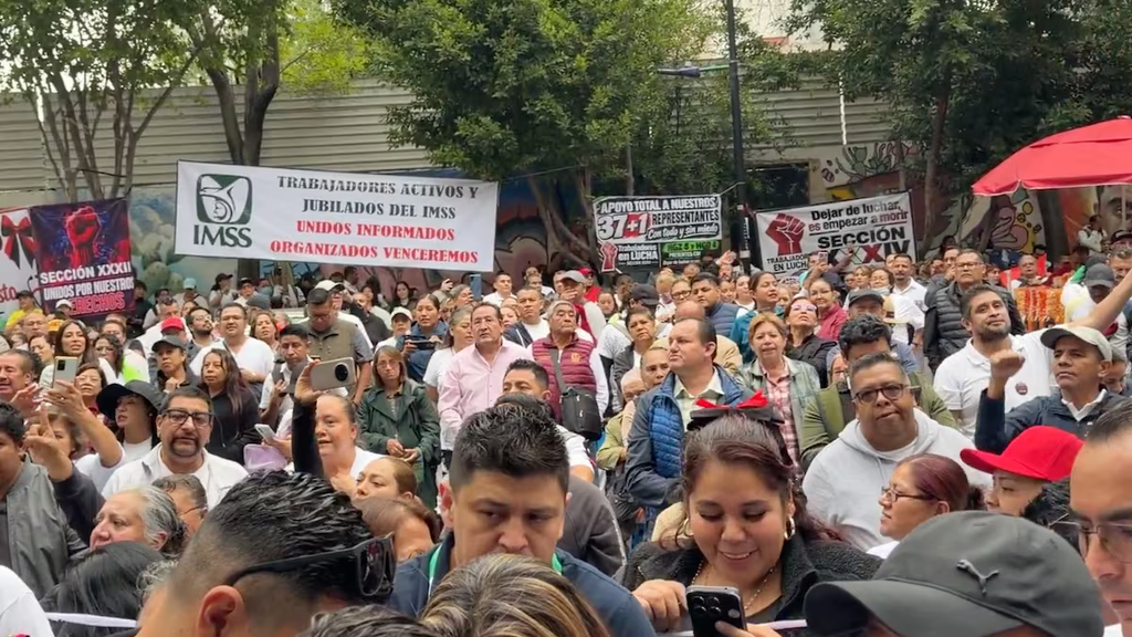 Manifestación de trabajadores del IMSS / Vía X